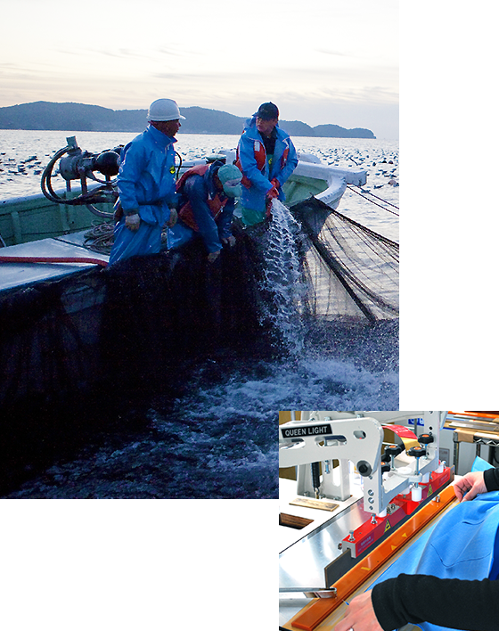 漁師作業風景と工場合羽製造風景